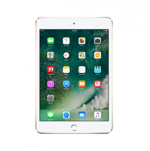 iPad Mini